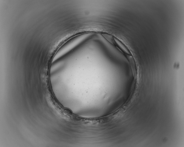 X0000111190434200907151353