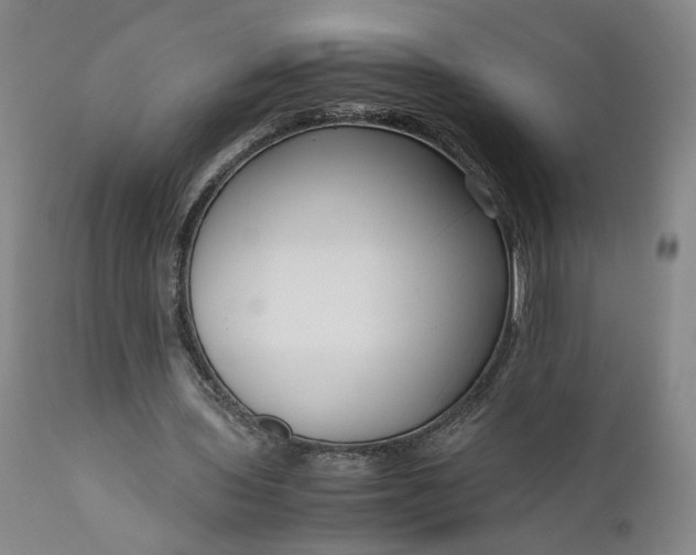 X0000111190435200907151353