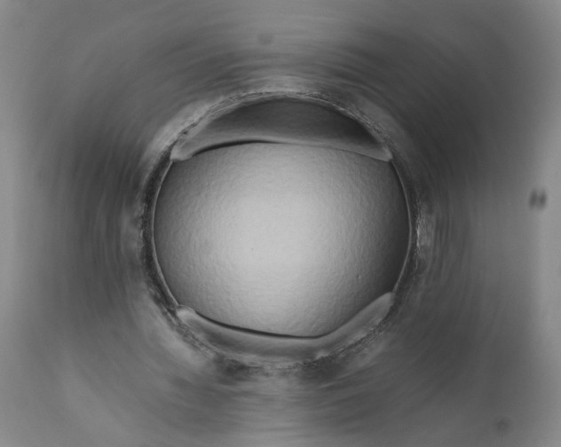 X0000111190436200907151353