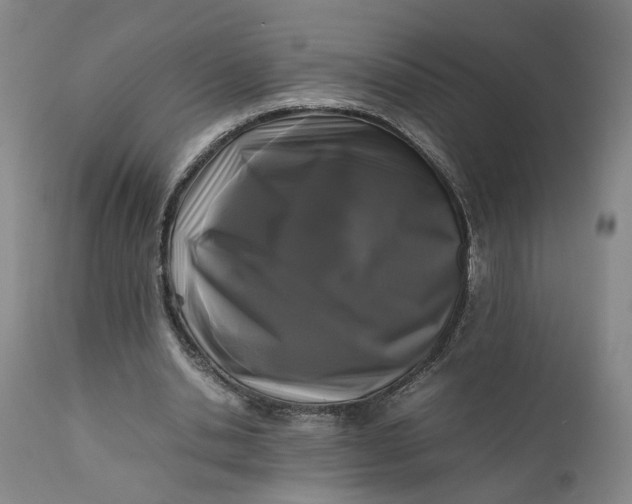 X0000111190438200907151353