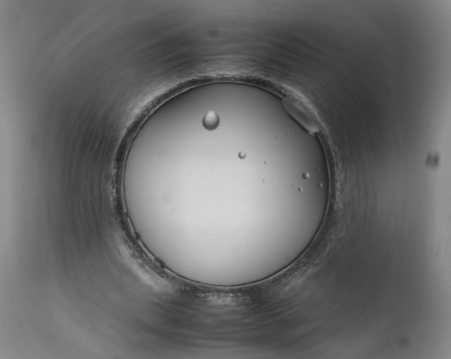 X0000111190439200907151353