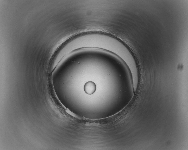 X0000111190440200907151353