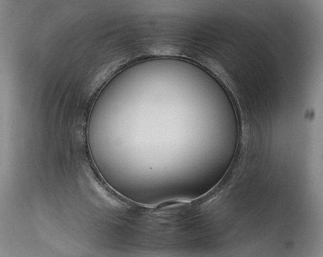 X0000111190441200907151353