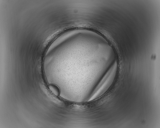 X0000111190442200907151353