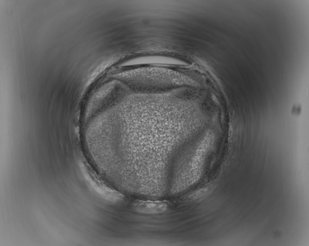 X0000111190443200907151353