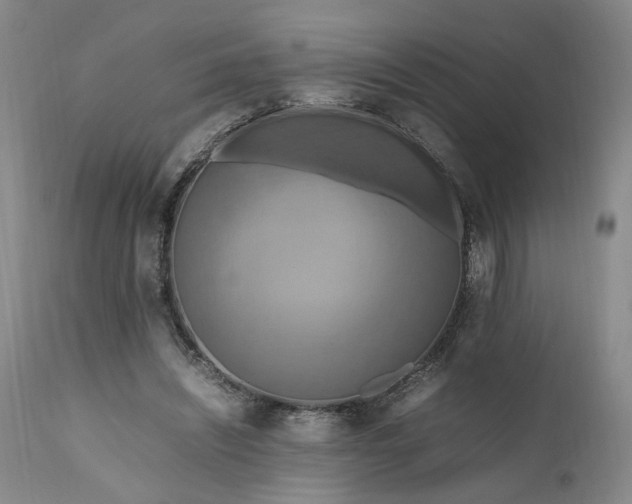 X0000111190444200907151353