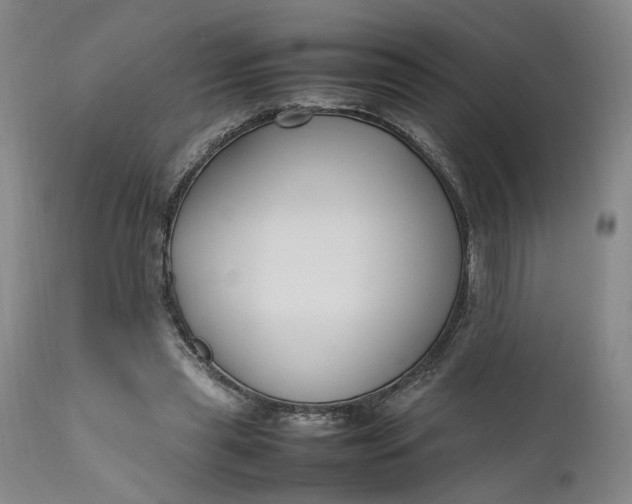 X0000111190445200907151353