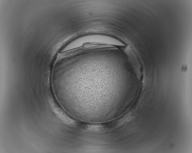 X0000111190446200907151353