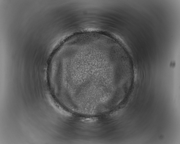 X0000111190447200907151353