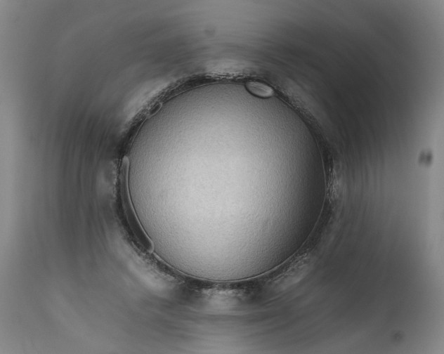 X0000111190448200907151353