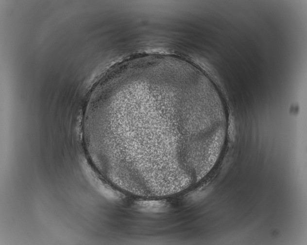 X0000111190449200907151353