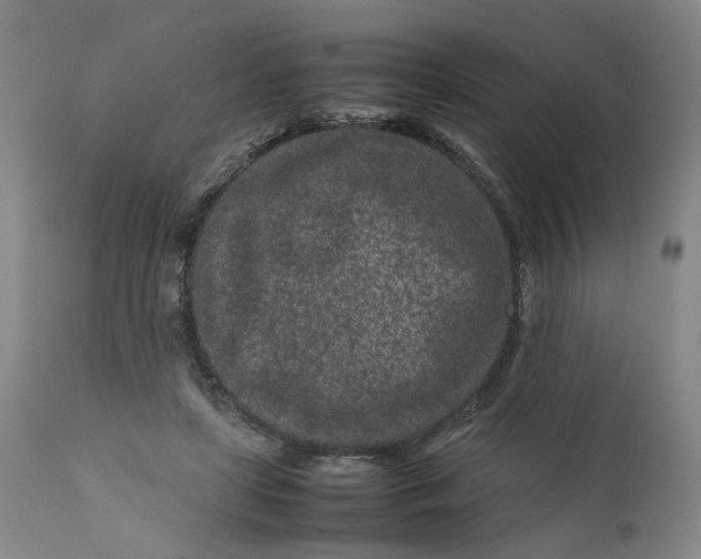 X0000111190451200907151353