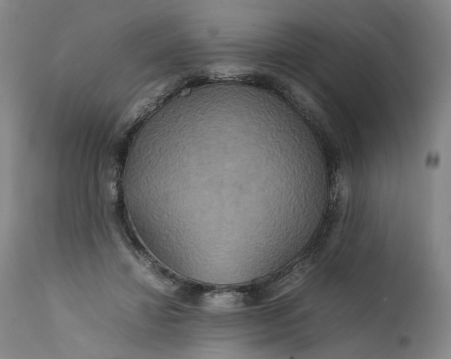 X0000111190452200907151353