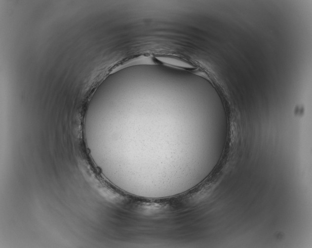 X0000111190453200907151353