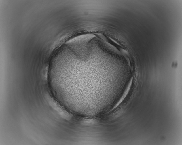 X0000111190454200907151353