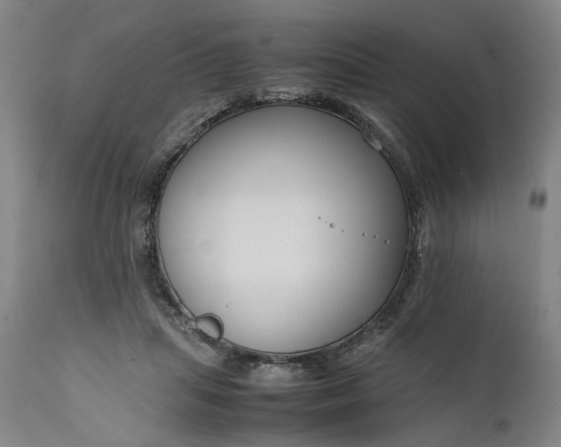 X0000111190455200907151353