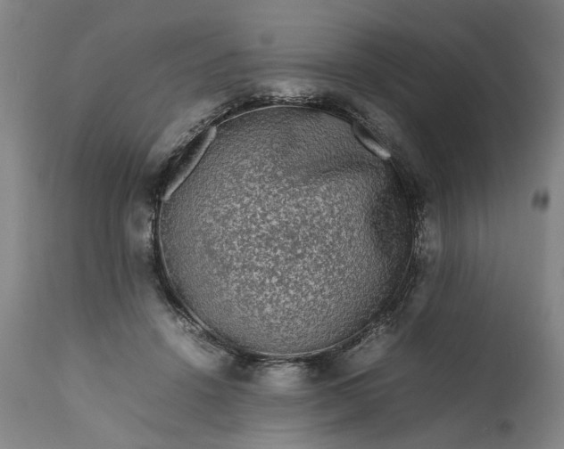 X0000111190456200907151353