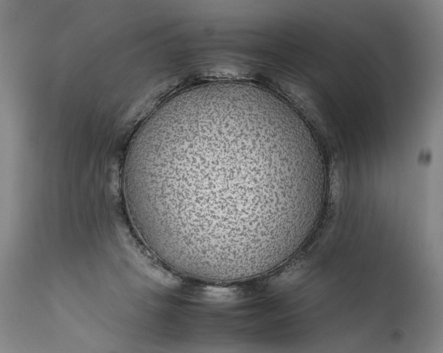 X0000111190457200907151353