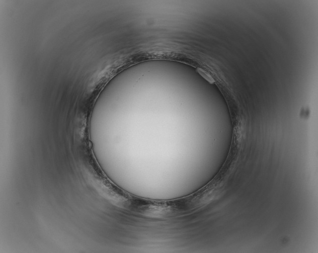 X0000111190458200907151353