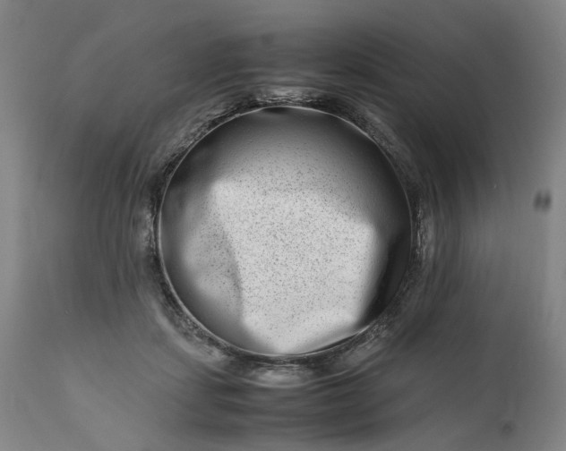 X0000111190459200907151353