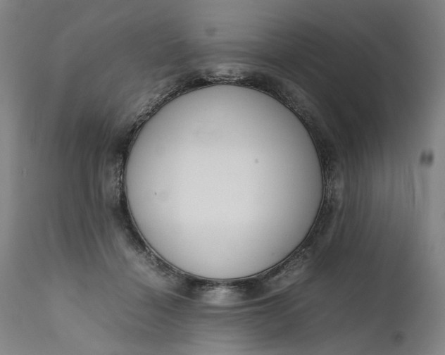 X0000111190460200907151353