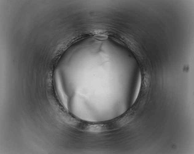 X0000111190461200907151353