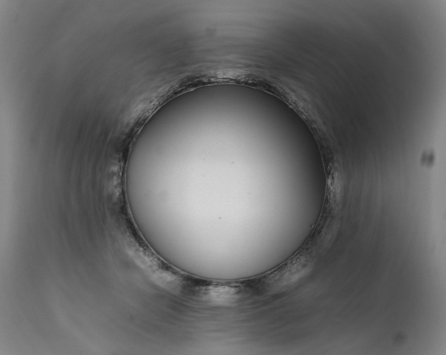 X0000111190462200907151353