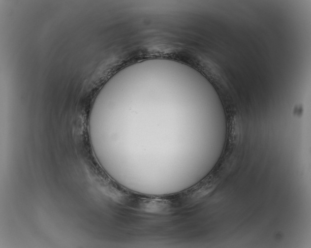 X0000111190463200907151353