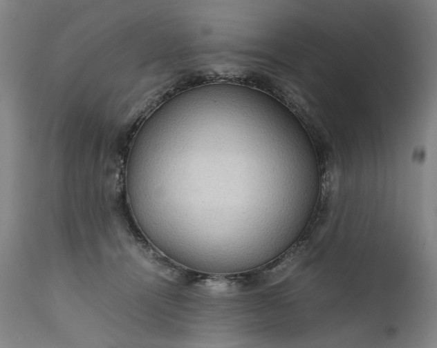 X0000111190464200907151353