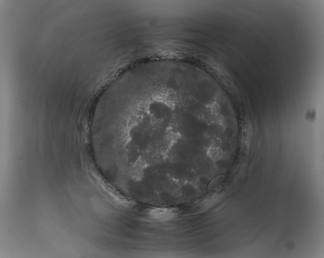 X0000111190465200907151353