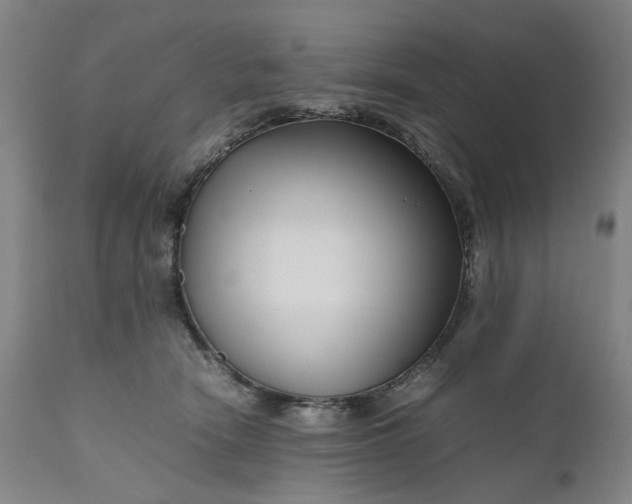 X0000111190466200907151353