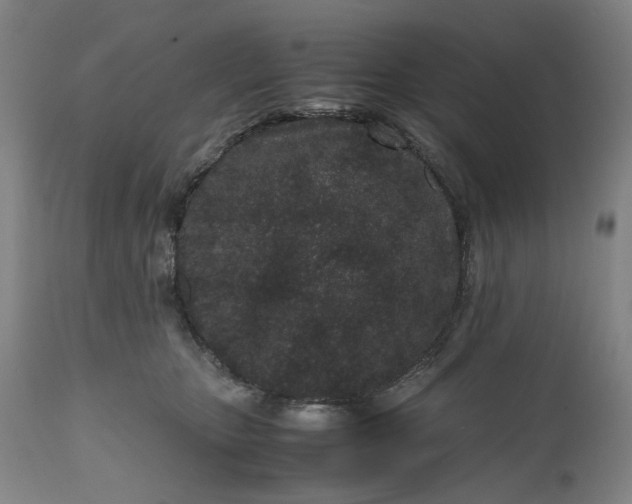 X0000111190467200907151353