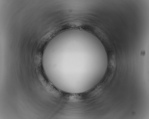 X0000111190468200907151353