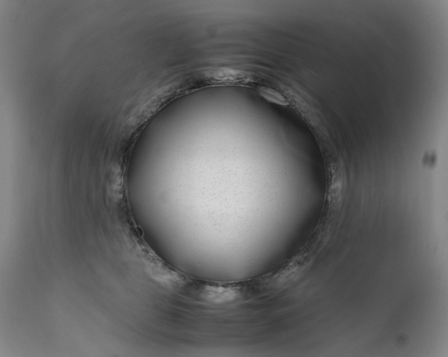 X0000111190469200907151353