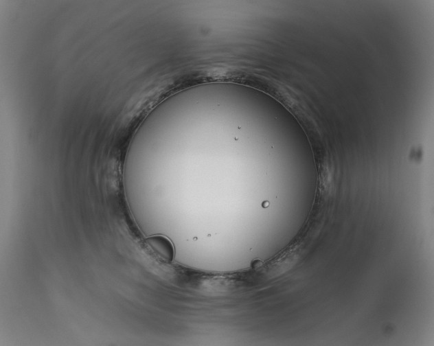 X0000111190470200907151354