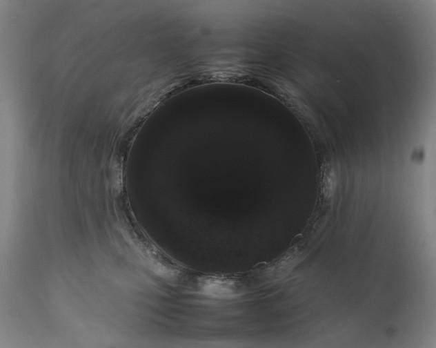 X0000111190471200907151354