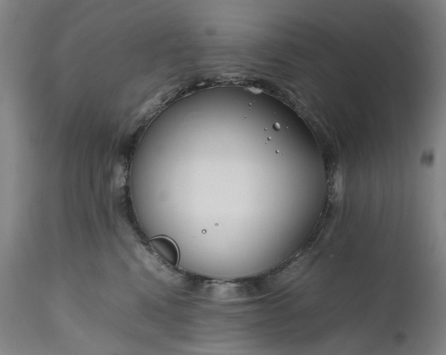 X0000111190472200907151354