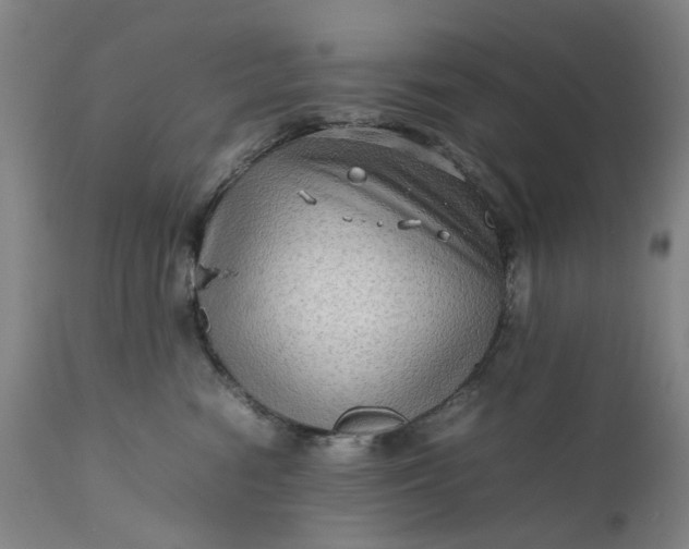 X0000111190474200907151354