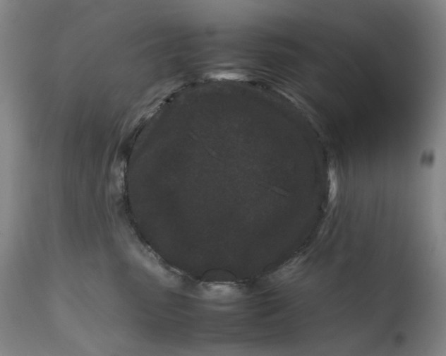 X0000111190475200907151354