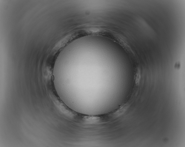 X0000111190476200907151354