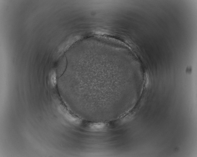 X0000111190479200907151354