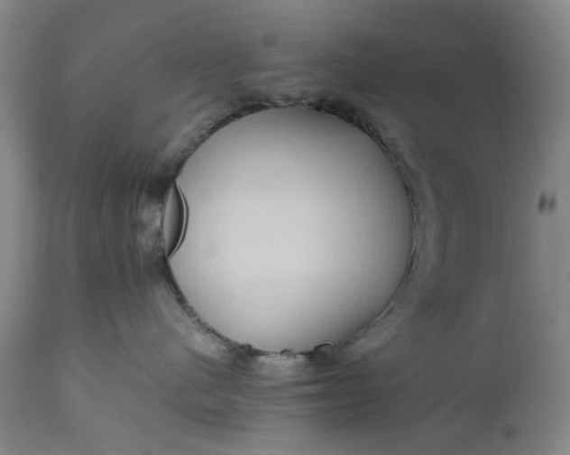 X0000111190480200907151354