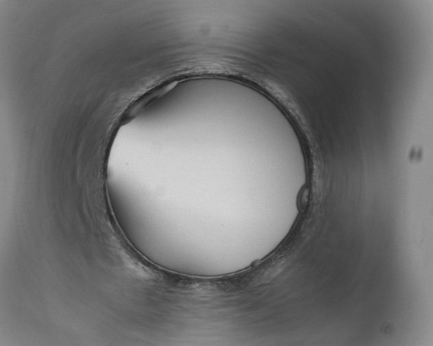 X0000111190481200907151353