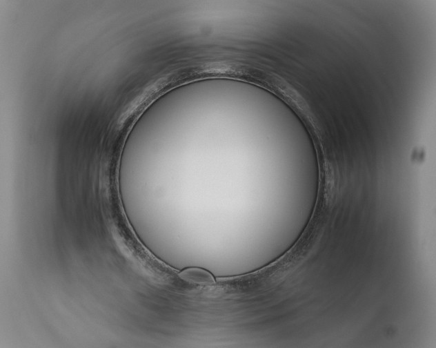 X0000111190482200907151353