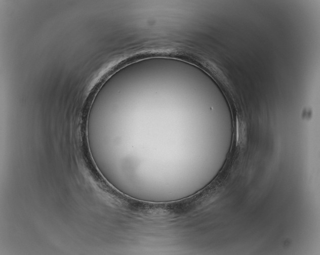 X0000111190483200907151353