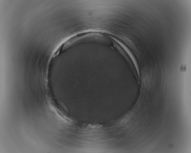 X0000111190484200907151353