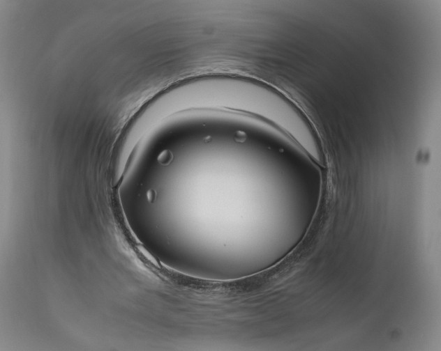 X0000111190485200907151353