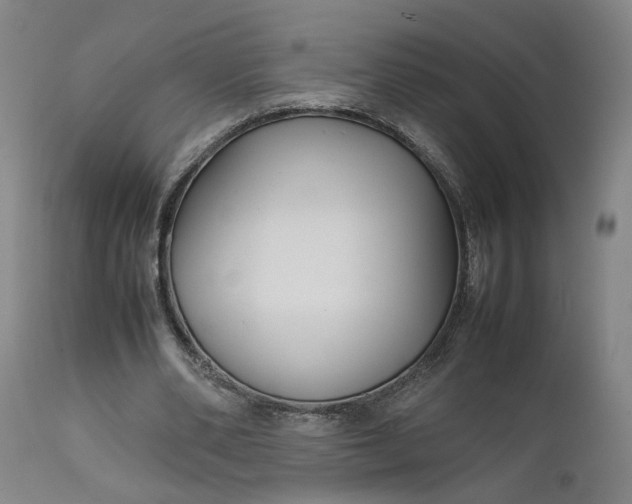 X0000111190486200907151353