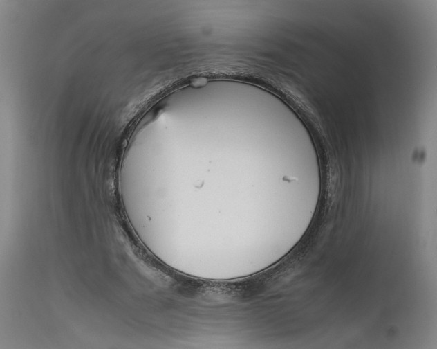 X0000111190489200907151353