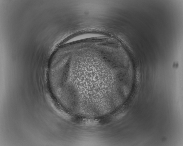 X0000111190491200907151353